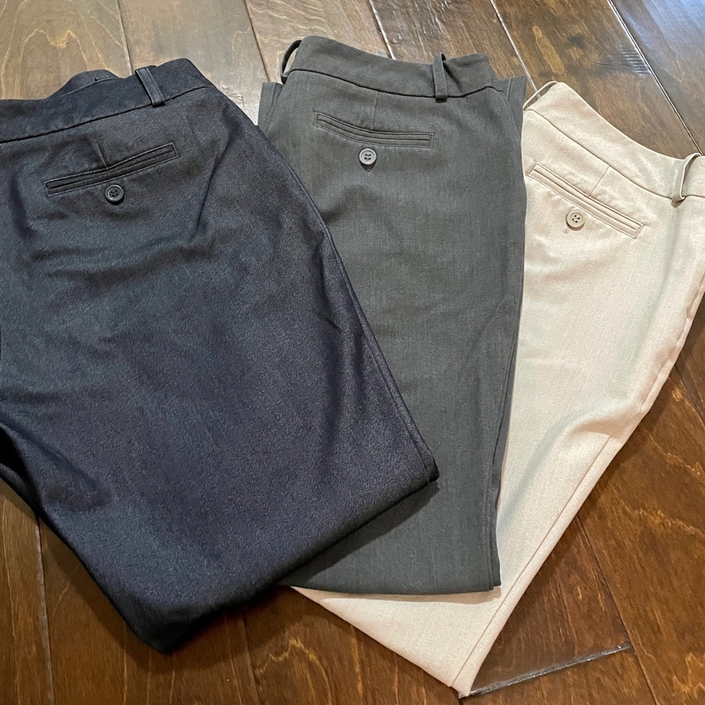 Women’s Worthington Modern Fit Trouser Pants, bundle of 3, 8P, Petite